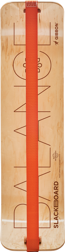 THE ULTIMATE BALANCE TRAINER